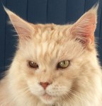 Charlie cleaned up E