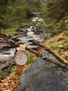 Daniel Wellington
